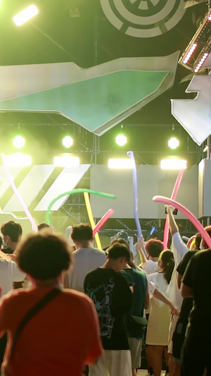 音乐节舞动的人群中国人12秒视频