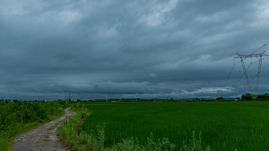 暴雨前夕8k[之时]视频