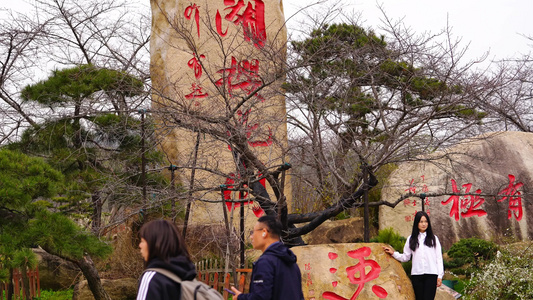 武汉东湖樱花园里的游客视频