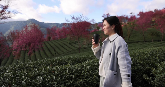 在樱花树下喝咖啡的年轻美女唯美慢镜头视频