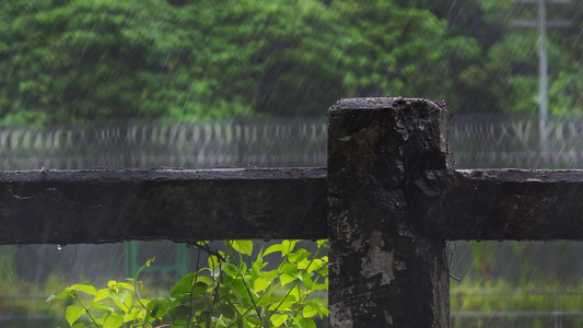 4K下雨特写画面视频