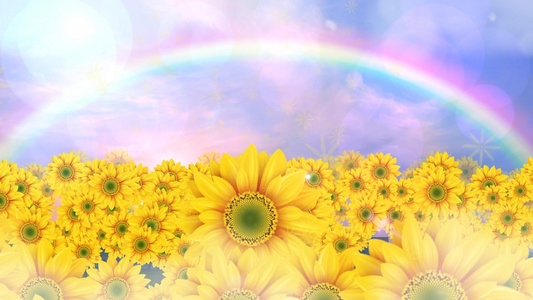 动态卡通唯美向日葵花朵背景视频元素视频