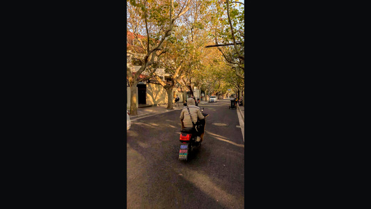 上海秋季武康路街景视频