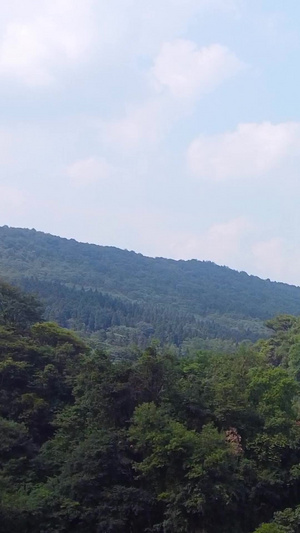 川西林海观景台航拍原始森林58秒视频