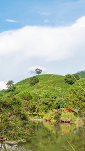 【旅游宣传片】福建武夷山合集蓝天白云视频