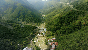 航拍雨后的森林山谷9秒视频