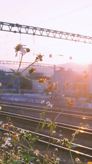 夕阳黄昏下老旧绿皮客运火车轨道交通33秒视频