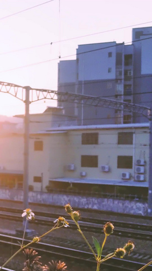 夕阳黄昏下老旧绿皮客运火车交通运输33秒视频