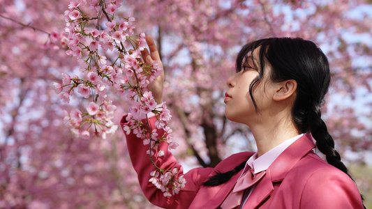 粉色JK制服的少女在樱花树下赏花视频