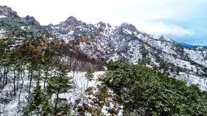 4K航拍青岛浮山森林公园被雪覆盖44秒视频