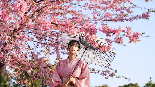 和服少女走在樱花树下赏花视频