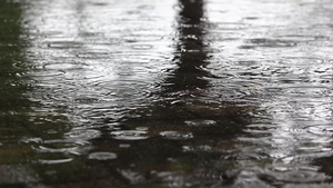 夏天雨水积水水纹花20秒视频