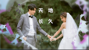 简洁时尚婚礼婚庆快闪开场展示28秒视频