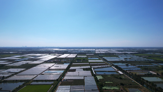航拍农村一望无垠的农田稻田大棚养殖乡村自然风光4k素材视频