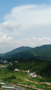 农业种植花圃幼苗基地竖屏航拍视频