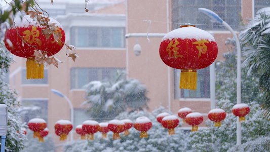 雪花慢镜头视频