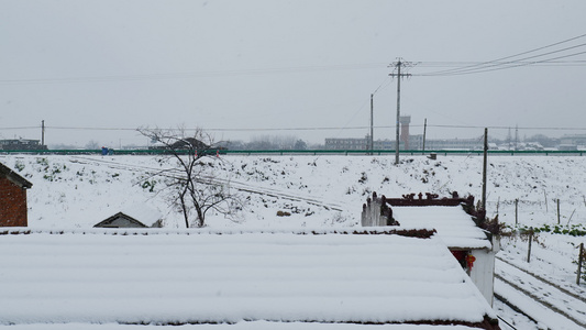 4K下雪了空镜视频