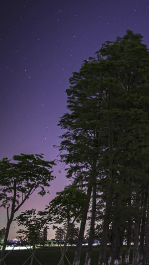 延时拍摄夜晚行道树旁的星空日月星辰15秒视频