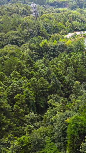 5A风景区世界遗产龙虎山景区地标浴仙池景点航拍81秒视频