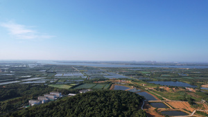 航拍农村农业农田水稻自然风光4k素材65秒视频