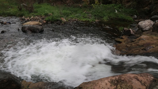 森林山泉小溪水视频