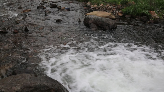 森林山泉小溪水视频