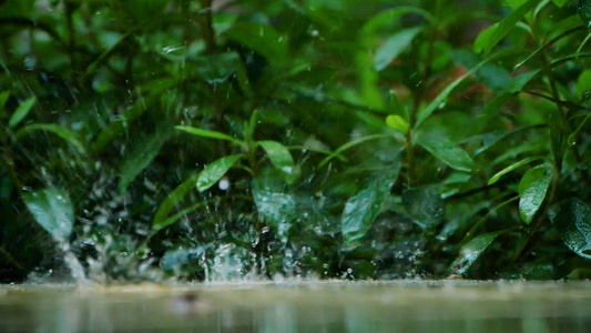 升格唯美雨滴夏季暴雨下雨天雨水溅落视频