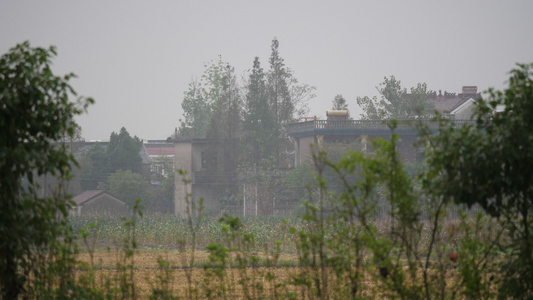 4K实拍下雨了雨中景色空镜视频