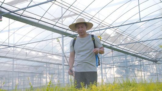 在大棚里喷雾打药视频