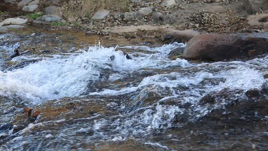 森林山泉小溪水视频