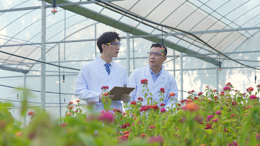 农业科技专家花圃里研究讨论视频