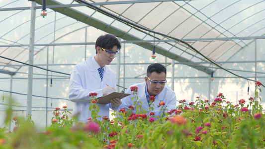 农业科技专家花圃里研究形象视频