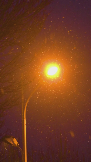 下雪路灯下的雪花发光的20秒视频