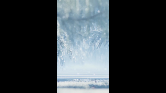 唯美冬天雪景背景视频