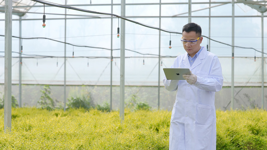 农业科技专家花圃里研究记录数据视频