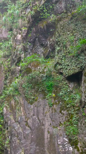 5A风景区明月山地标飞练瀑布实拍视频