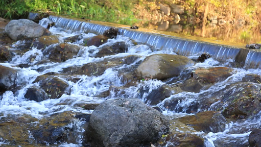 森林山泉小溪水视频