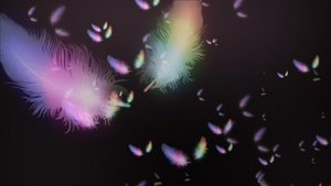 彩色羽毛飘落带透明通道合成背景视频20秒视频