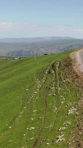 航拍新疆伊犁草原牧民放牧转场视频大自然视频