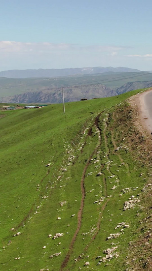 航拍新疆伊犁草原牧民放牧转场视频大自然48秒视频