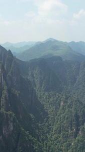 湖南郴州莽山森林公园航拍风光竖屏视频