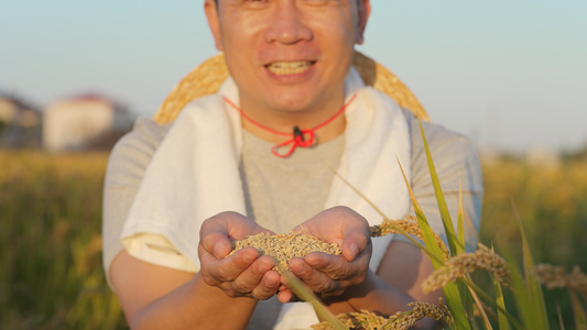 农民手捧着粮食看镜头开心笑视频