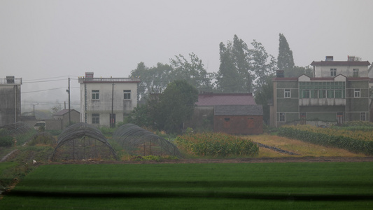 4K实拍下雨了雨中景色空镜视频