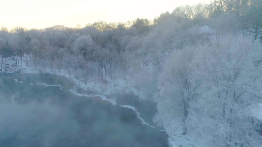 雪后雾凇视频