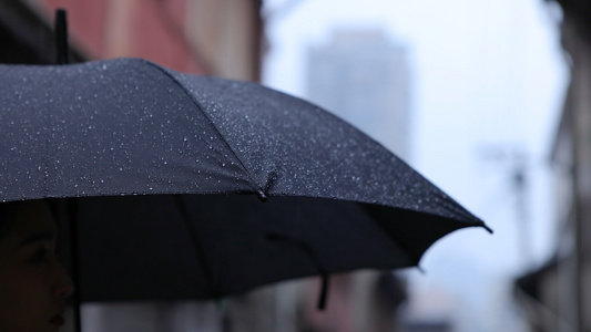 雨伞上的水珠视频