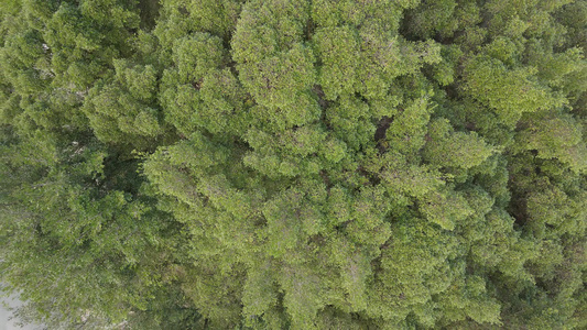 广西桂林阳朔十里画廊风景航拍视频