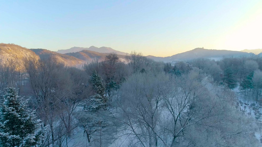 雪后雾凇视频