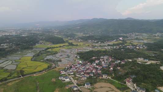 航拍大山中的农村农业生产种植稻田视频