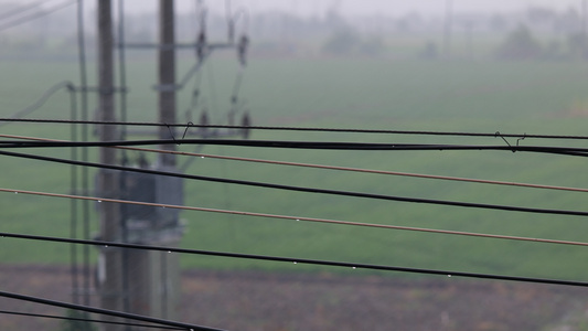 4K实拍下雨了雨中景色空镜视频