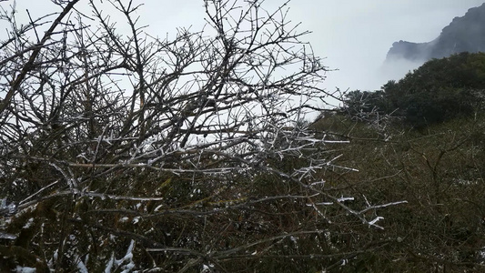 冬天雪景雾凇贵州梵净山 视频